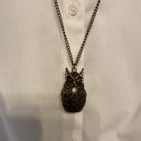 Owl Magnetic Locket Pendant Statement Necklace w/ Crystals, BOHO, Halloween Goth - Picture 3 of 8